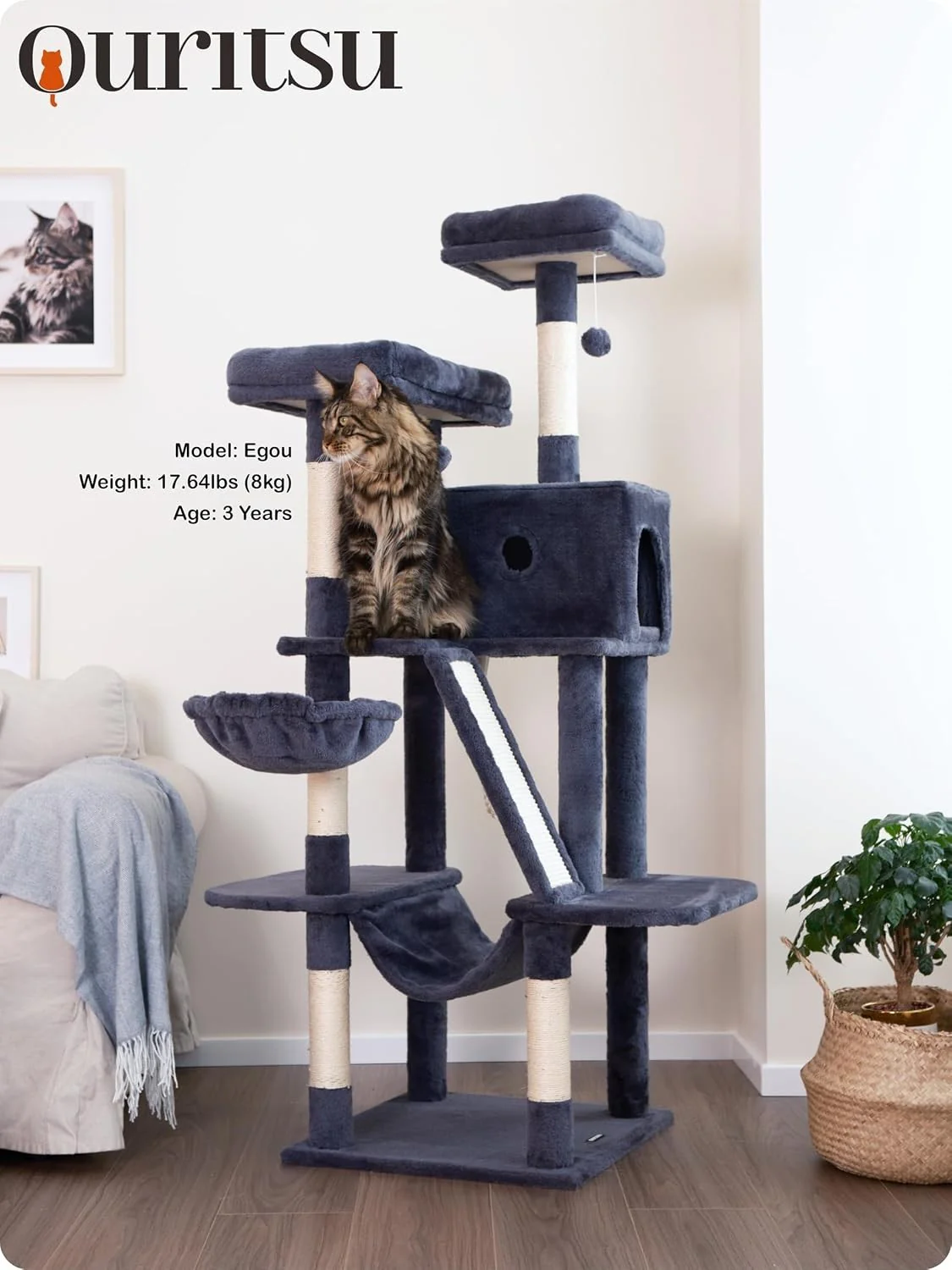 Product image 42